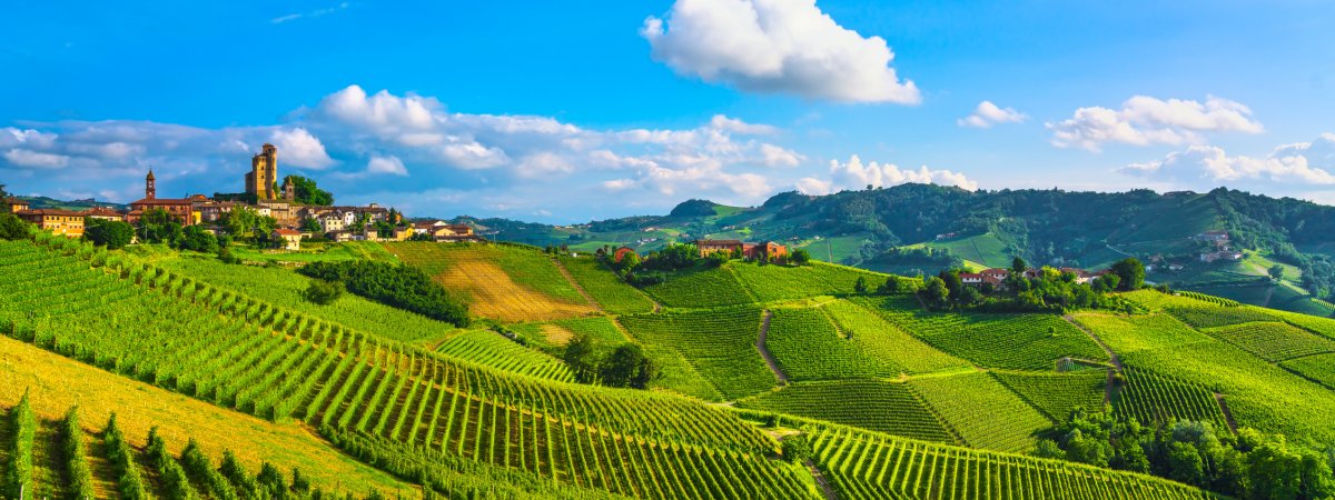 Weinberge in Serralunga d'Alba © stevanzz-stock.adobe.com